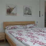 Donaudeluxe شقة غايزينغن