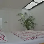 Donaudeluxe * غايزينغن