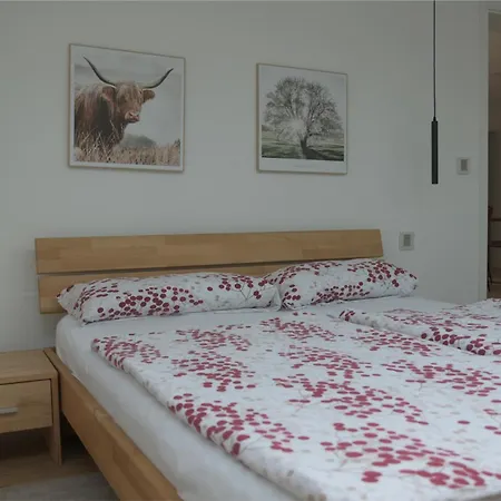 Donaudeluxe Lägenhet Geisingen