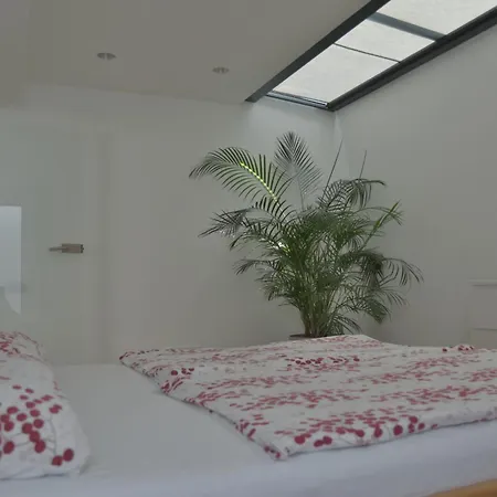 Donaudeluxe * 가이징겐