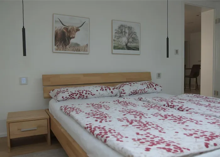 Donaudeluxe Daire Geisingen