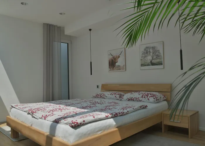 Daire Donaudeluxe Geisingen