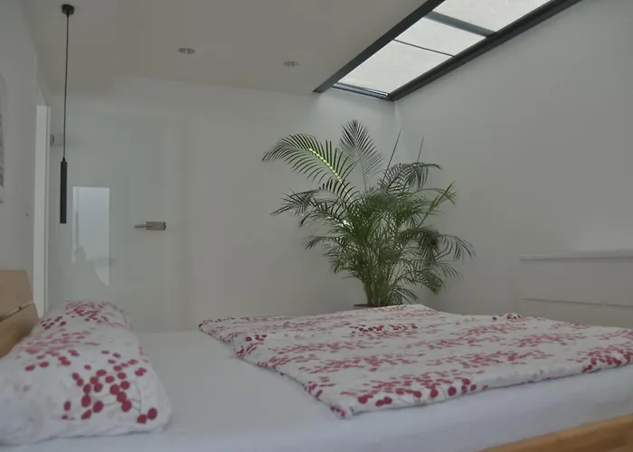 Donaudeluxe * Geisingen